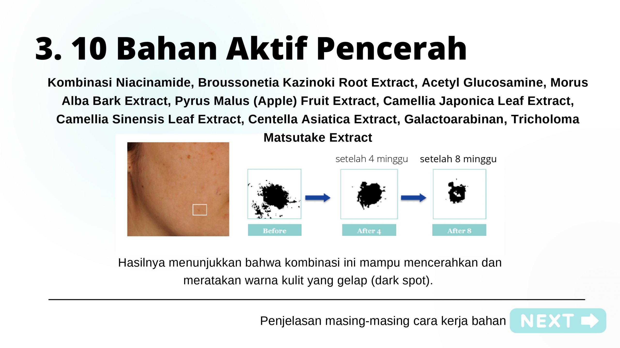 Bahan WhiteTen_page-0002