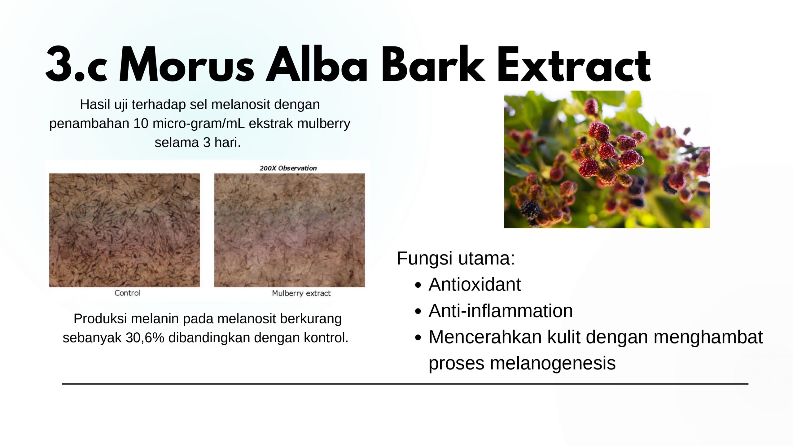 Bahan WhiteTen_page-0005